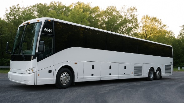 rocklin bachelor and bachelorette party bus rentals