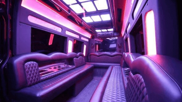 Sacramento 15 passenger party bus interior